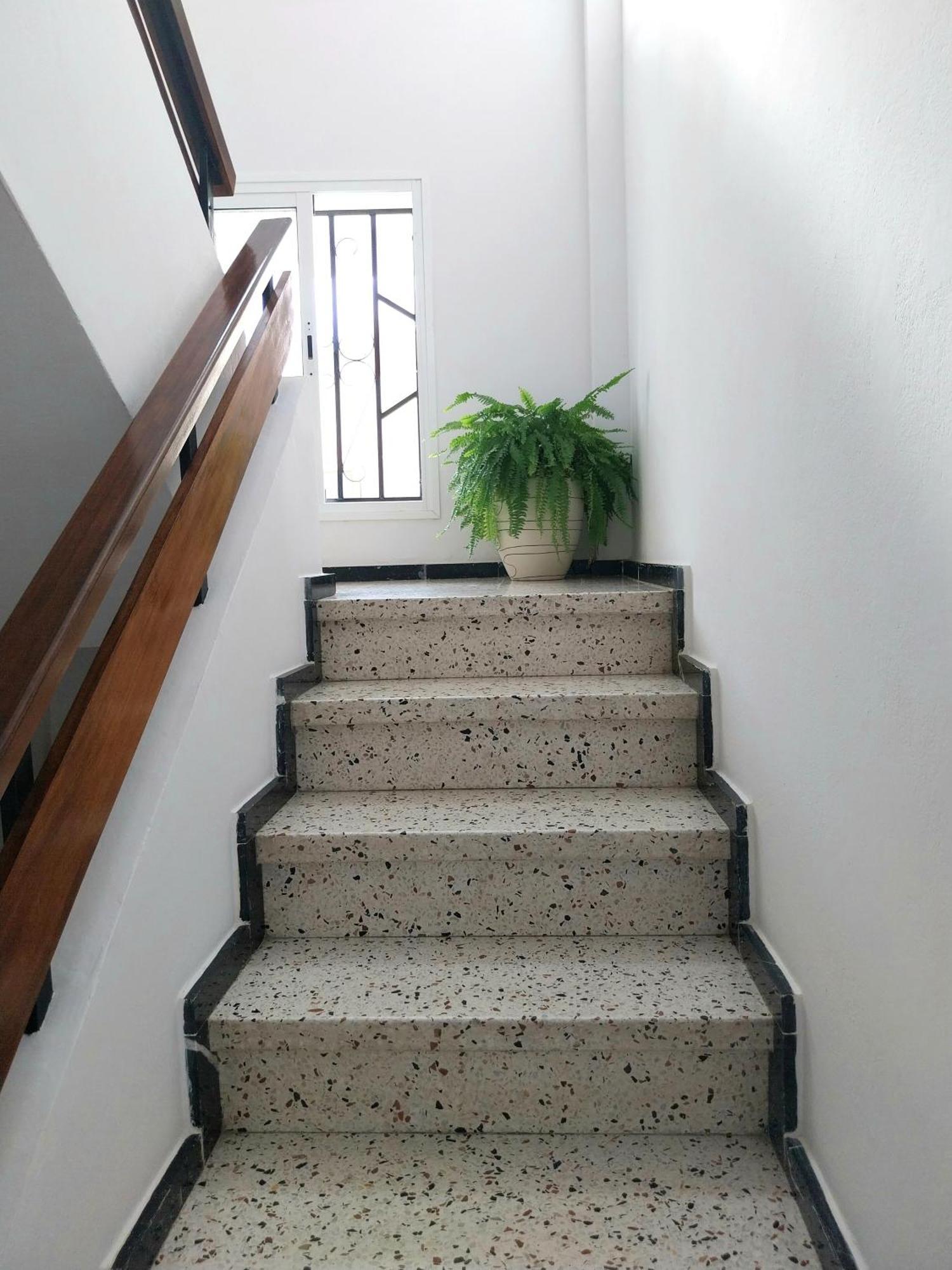 Roque's House Apartament *