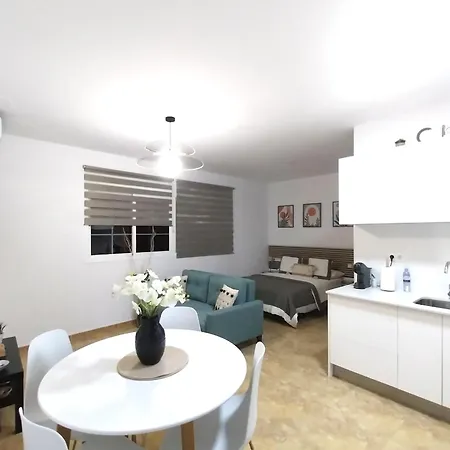 Roque'S House Apartment Telde Room photo
