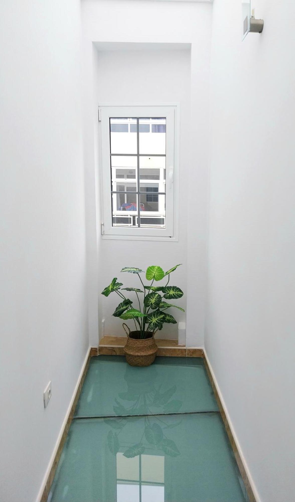 Apartment Roque's House *